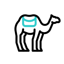 Regional Focus Icon