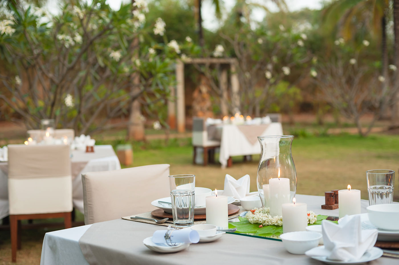 Fresh Organic Wellness Cuisine